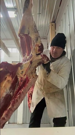 Beef quarter break down continued