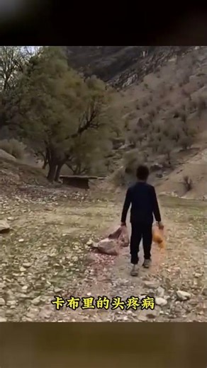 #游牧民族生活 #伊朗游牧民生活 #紀錄片 #荒野求生 #野外生存 #纪录片 #纪录片解说 #游牧民族 #伊朗 #二手车