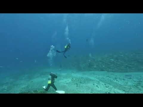ロウニンアジとダイバー！慶良間諸島国立公園