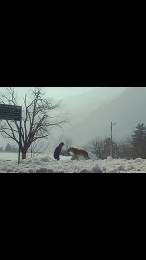 CinemaSpotted © on Instagram: ":) . . . No problem! Here’s a similar text about a Lamborghini model:The Lamborghini Aventador SVJ is an exceptional supercar renowned for its impressive performance and striking design. It is equipped with a powerful 6.5-liter V12 engine, which generates around 760 horsepower.Acceleration from 0 to 100 km/h is achieved in just 2.8 seconds, and it boasts an impressive top speed of over 350 km/h.Featuring sophisticated aerodynamic enhancements and innovative active 