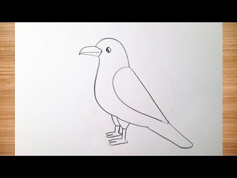 how to draw crow drawing easy step by step‪@DrawingTalent‬