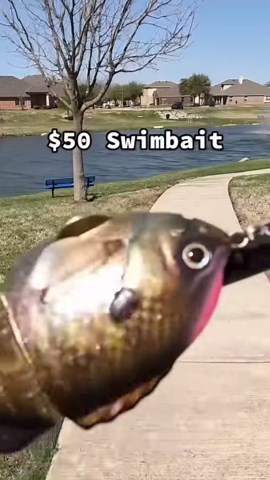 The Hunt: Tossing an Expensive Lure for the Catch