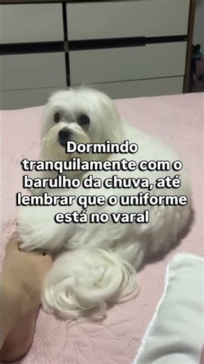 Nao entra sem uniforme na firma