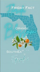 🌴Florida Friday Fact #6 | Florida’s State Flower