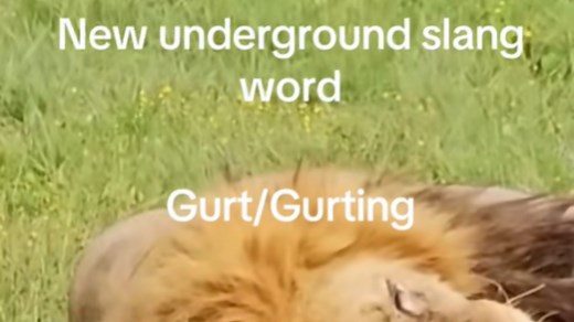 Gurting / Gurt (Slang) | Know Your Meme