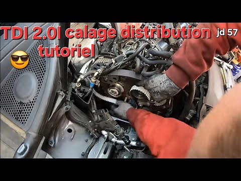 Changing your timing belt yourself in detail 🪛🔧🛠♨️