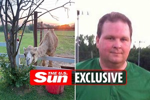 Camel kills two friends in front of their families at US petting zoo