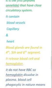 Circulatory system of Earthworm 11th biology #science