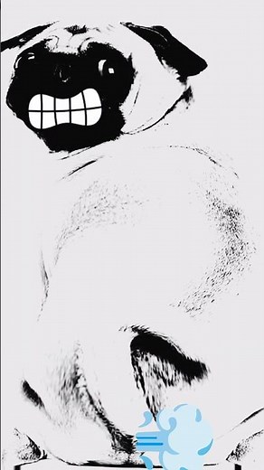 Farting Dog 😂 The Funniest Dog Video You’ll See Today!