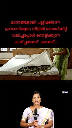 This video was created using AI. This is not an actual event, it is a fictional creation for ente...