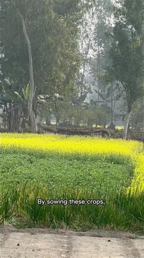 🌾 Bangladesh becoming rich in agricultural diversity 🌾