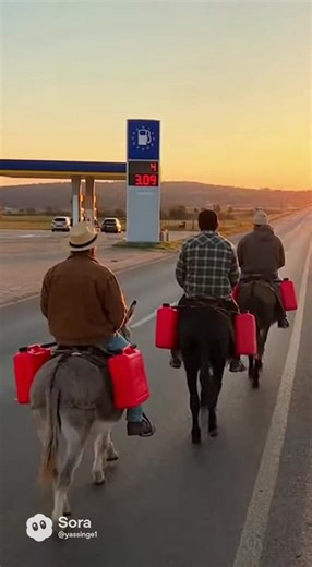 Video di Its Yassine (@yassinya.ess) con audio originale - Its Yassine