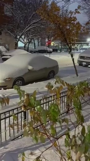 Shavepro (@shave_pro)’s videos with I smell snow - ☆