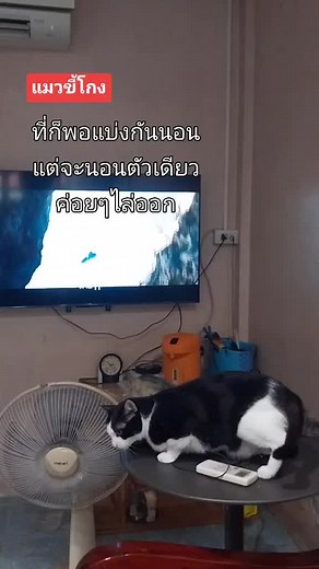 maliขอแล้วนะ บน TikTok