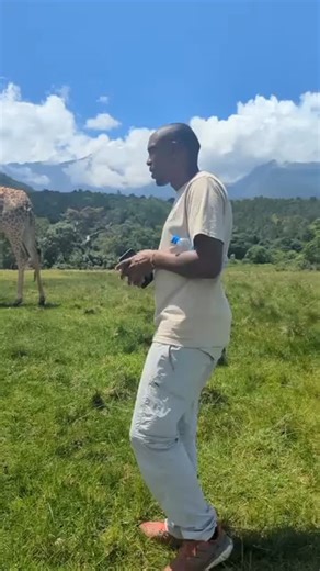 🌄 Discover Arusha National Park with us! 🐾 Experience an unforgettable daily tour exploring one of Tanzania’s most diverse and scenic parks! 🚙🌿 👉 Join our Daily Arusha National Park Safari ✔️ Morning game drive through lush plains & diverse wildlife ✔️ Canoeing on the iconic Momella Lakes 🛶 — paddle among flamingos and hippos 🦩🦛 ✔️ Ranger-guided walking safari for up-close nature encounters 🚶‍♂️🌳 ✔️ Visit Ngurdoto Crater for classic East African landscapes 🌋 ✔️ Birdwatching — over 400