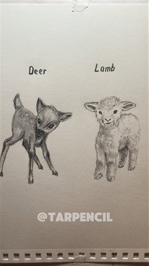How to draw Deer and Lamb ✏️ #drawing #art #tutorial #howtodraw #sketch #deer #lamb