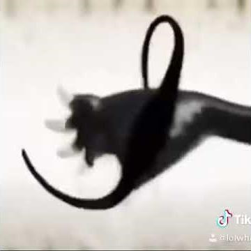 Miraculous Ladybug but thicc pt.2😺🙏