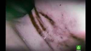 Asesinos seriales capitulo 28 | Mentes criminales