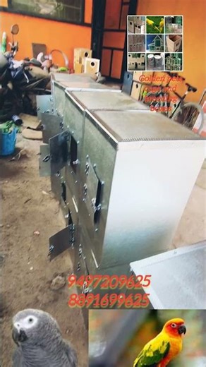 #sunconur metal breeding box #grey parrot metal breeding box