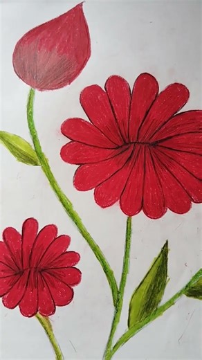 pencil colour flower