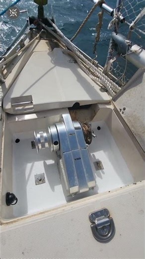 The Ikigai Pyramid Travels