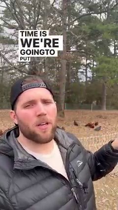 620K views · 10K reactions | How to merge two chicken flocks #mergingchickenflocks #backyardchickens #layinghens #homesteading #homestead #raisingchickens #farmstead #chickens #growyourownfood #regenerativeagriculture #regenerativefarming #smallscalefarming #selfsufficient #selfsufficiency #growyourfood #homesteadlife #homegrown #homesteader | Tanner Farmstead | Facebook
