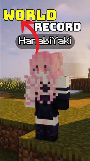 Elytra Speedrun World Record