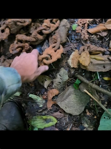 Expedição solitária nas Serras da Mata Atlântica! Encontrei as ruínas de uma senzala e artefatos ligados a escravidão! Assista o vídeo completo no canal do YT: SOZINHO NA NATUREZA