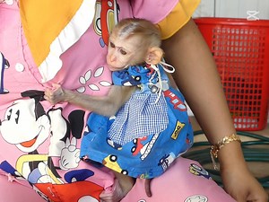 53K views · 1.3K reactions | Cute Daily Bb Monkey | Monkey Pets | Facebook