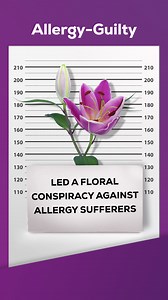31 reactions |  Guilty as charged! Allegra delivers fast*, powerful allergy relief so you can take on allergy season with confidence.  #AllergyRelief #FastRelief #StayActive #FeelGood #PollenSeason #KeepMoving *Starts working in 1 hour. | Allegra | Facebook