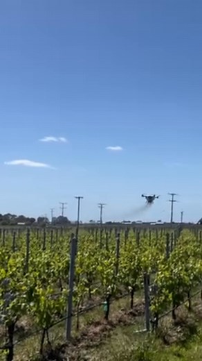 🍇 Grapevines are stretching out for another top season — are yours set for a cracking start? Give them the edge with XAG Ag Drones: smart spraying, less chemical waste, and fewer hours slogging in the paddock. From mites after dry spells to fungus and insects on humid days, our drones cover it all: ✓ Fast, precise spraying with fine droplets (60–500 μm) and a high flow rate of up to 30 L/min ✓ Reliable pest and fungal control, rain or shine ✓ Serious spray power for tough jobs, every time ✓ Mor
