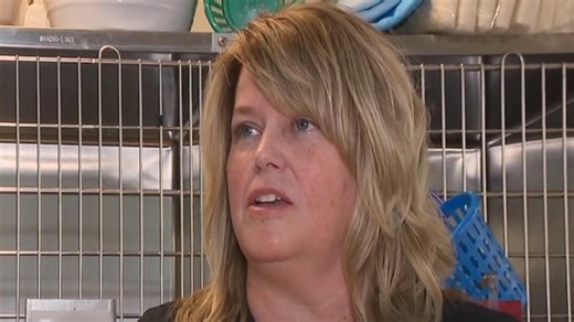 Vet 'violated' after $14k wiped from Chase account but was told card was coming