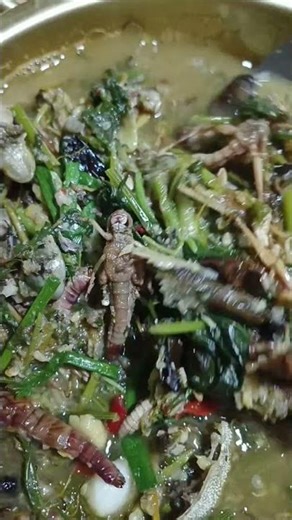 อาหารมื้อนี้คือที่สุด #ก้อยไข่มดแดง # เอาะแมงทุกชนิด #เอาะไข่มดแดง