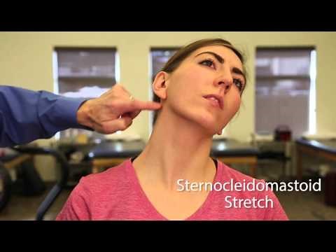 TMJ Exercise: Sternocleidomastoid Stretch