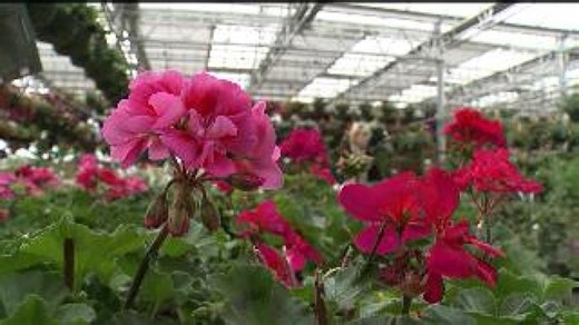 March 1 is 1st day of meteorological spring. What does that mean?