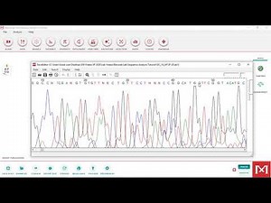 CO1 Barcode DNA Analysis Using MEGA