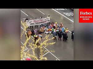 SHOCK MOMENT: Pro-Palestinian Protesters Interrupt The Macy’s Thanksgiving Day Parade In NYC