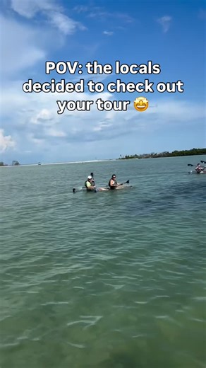 Clear Kayak Tours In Tampa Bay on Instagram: "Welcome to our paradise!! 😍 We love having dolphins at Shell key preserve year round! They’re one of our favorite larger animals to see and they often go right by our kayaks like in this video! • • • • #thingstodostpete #visitflorida #shellkey #getupandgokayaking #dolphins #thingstodointampabay #clearkayak #adventureflorida #florida #guidedtour #clearkayaking #wildlifeencounters"