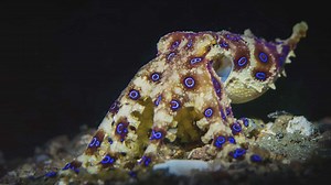 25 astonishing random facts that rewrite the rules