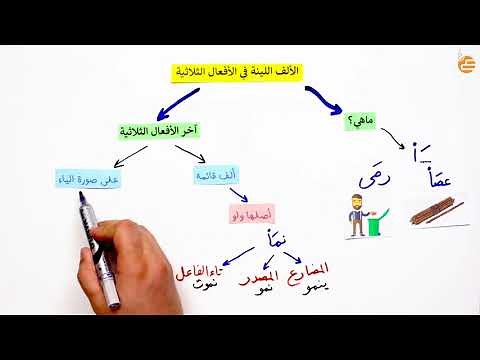 مراجعات عين | الالف اللينة في الافعال الثلاثية