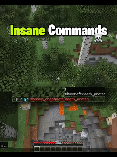 Minecraft Insane Commands Moment 💀