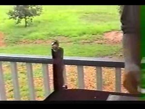 Introducing the Henrob 2000 Welding and Cutting Torch