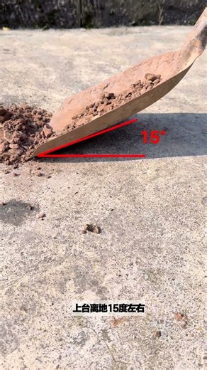 Master Poop Cleaning in 5 Steps: Essential Tips for Rural Living