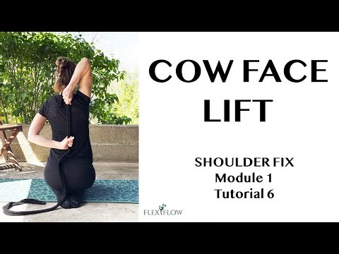 Simple Stretch For Improved Shoulder Mobility | Cow Face