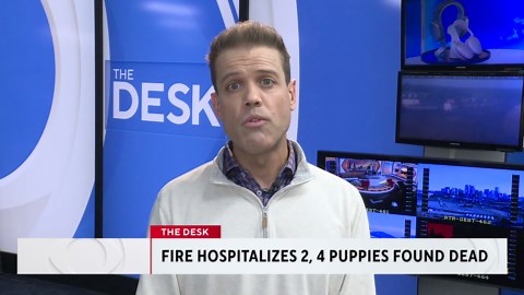 2 people injured, more than a dozen dogs rescued from burning home in Commerce City