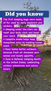 camping facts #facts #DidYouKnow | TaleB Show