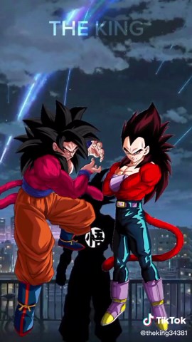 Epic Goku SSJ Omni God vs Vegeta SSJ Moni God Battle