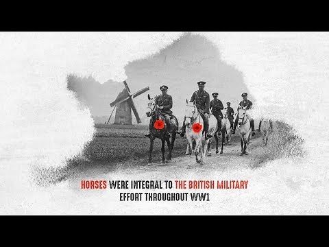 100 years on - Remembering the horses of World War 1