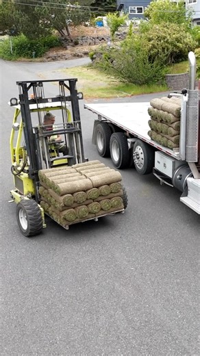 18K views · 115 reactions | DIY Sod Installation Tips! #sodinstallation #landscaping #greengrass #yardwork #diy | BYOT | Facebook
