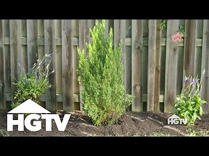Garden Love: How to Transplant a Tree | HGTV